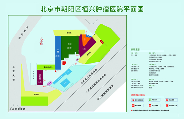 国产野外操骚逼视频北京市朝阳区桓兴肿瘤医院平面图